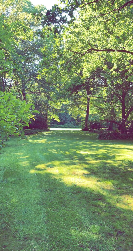53a73157-cc07-4f4c-9325-964aa1ff5345 Contact opnemen voor tuin werken, tuin onderhoud